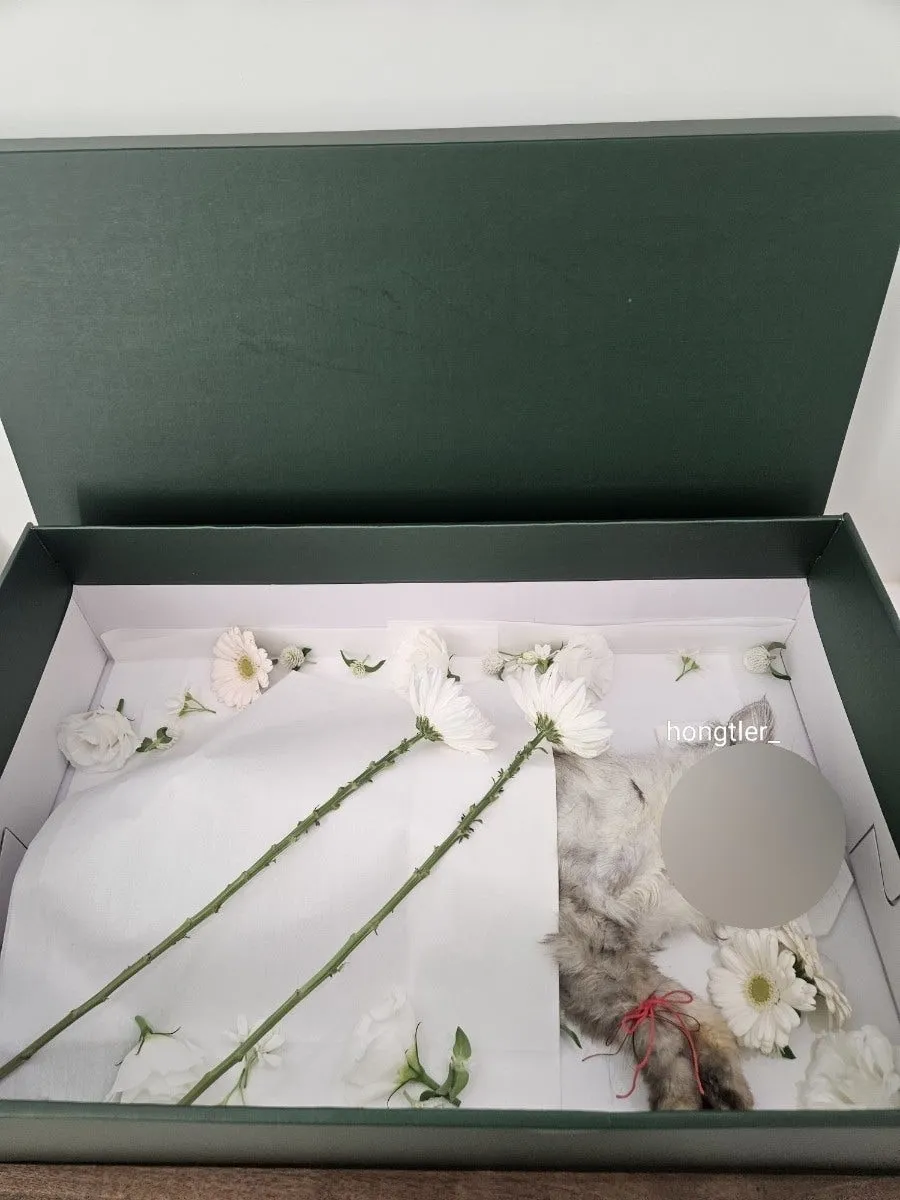 고양이 장례 펫포레스트 김포점 가격 및 절차 안내 — 사진 14