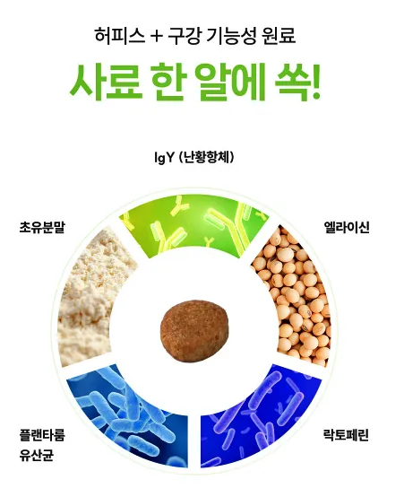 고양이 구내염 완화 사료 추천: 오랄앤허피스케어 후기 — 사진 13