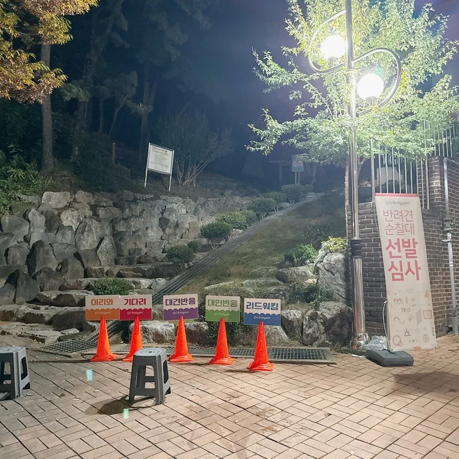 반려견 순찰대 시험 후기: 강아지 기다려 훈련 완벽 대비 — 사진 5