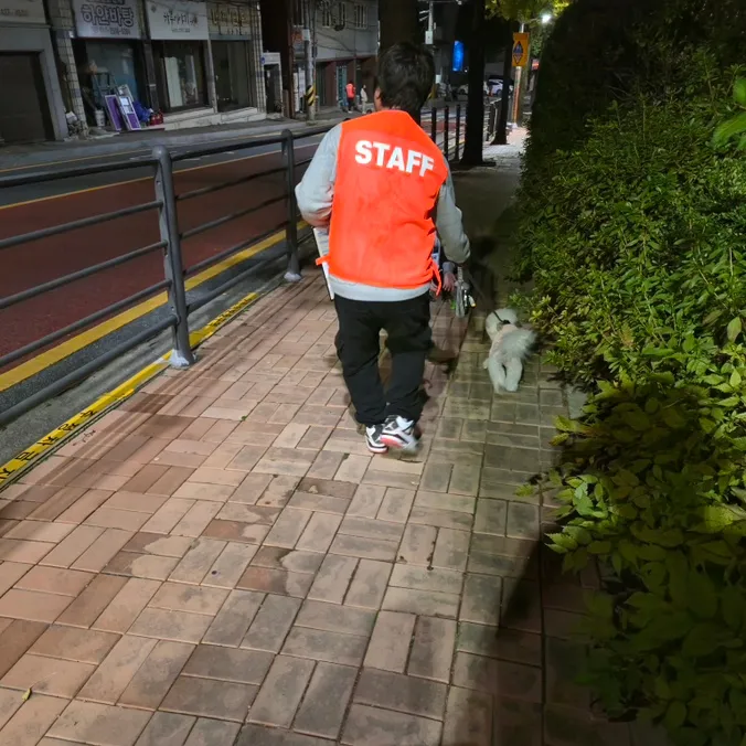 반려견 순찰대 시험 후기: 강아지 기다려 훈련 완벽 대비 — 사진 10