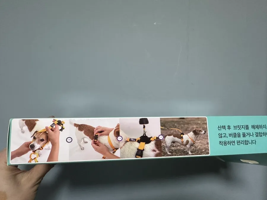 페슬라 하네스, 줄꼬임 방지로 편안한 강아지 산책 후기 — 사진 9