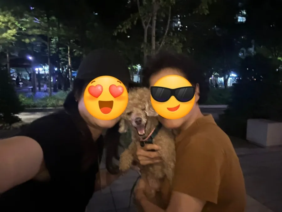 페슬라 하네스, 줄꼬임 방지로 편안한 강아지 산책 후기 — 사진 14
