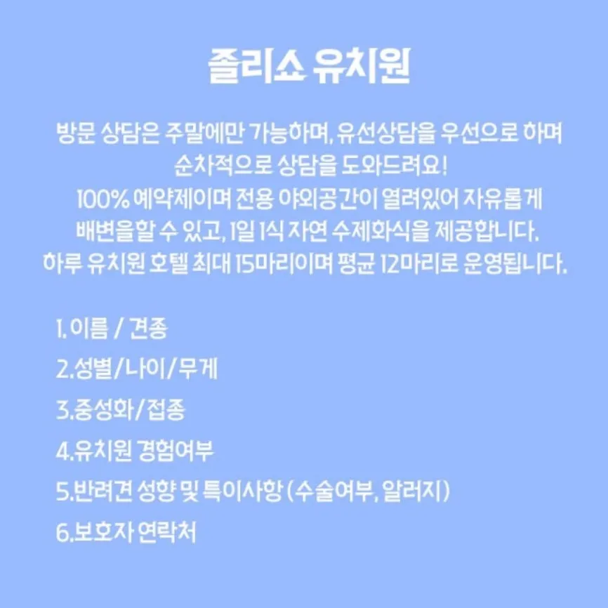 울산 강아지 유치원 '졸리쇼' 4개월 후기: 사회화·놀이·소풍 정보 — 사진 4