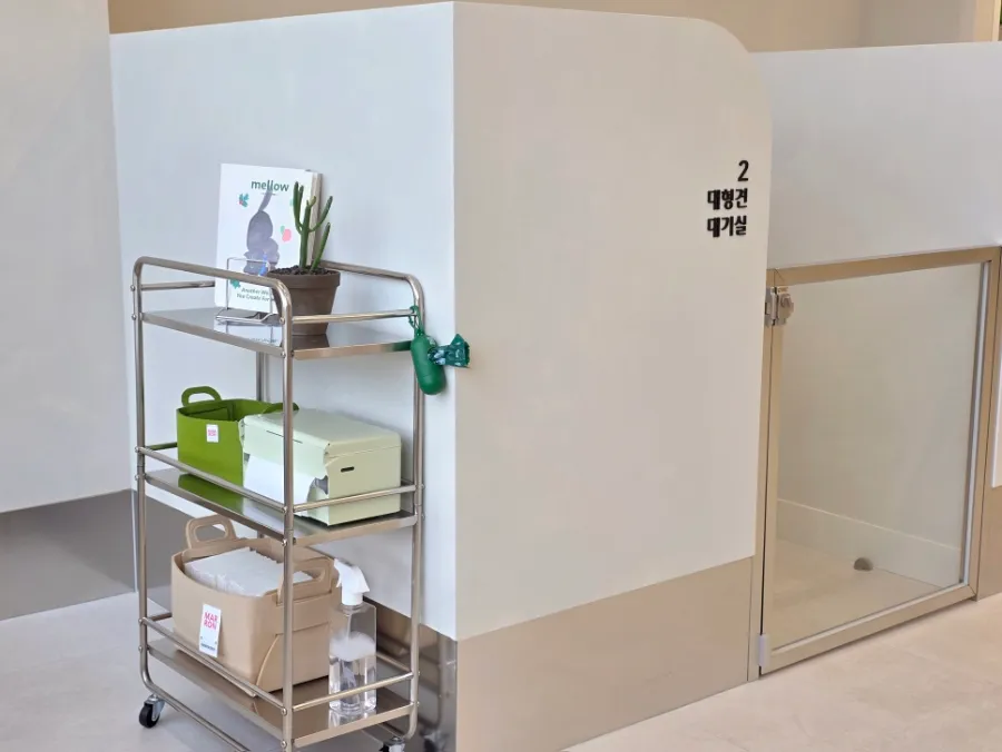 말티즈 건강검진 엑스레이 비용, 리엔 24시 동물병원 후기 — 사진 4