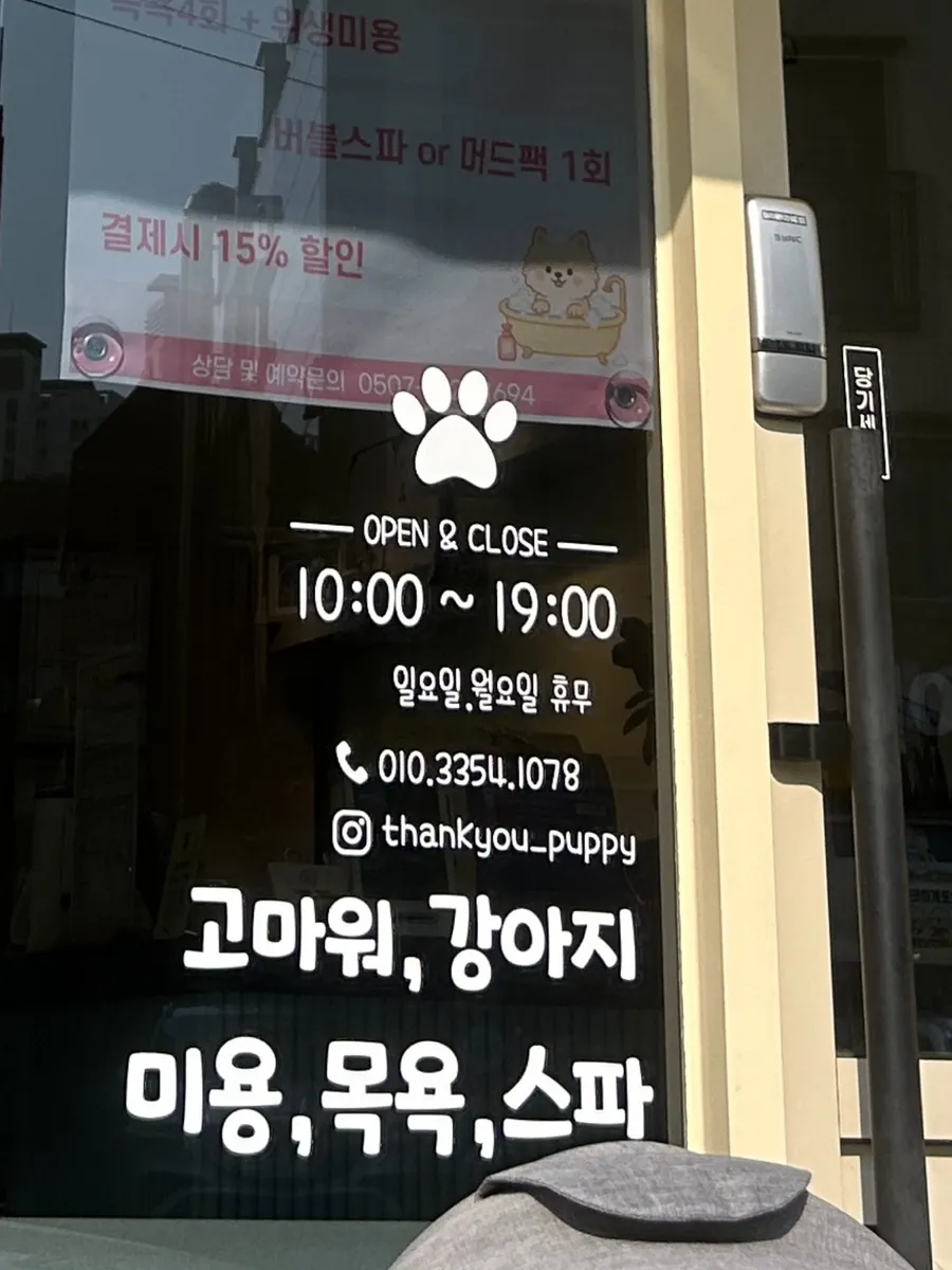 미니 비숑 첫 미용 후기: 고마워강아지 가위컷 만족도 — 사진 4