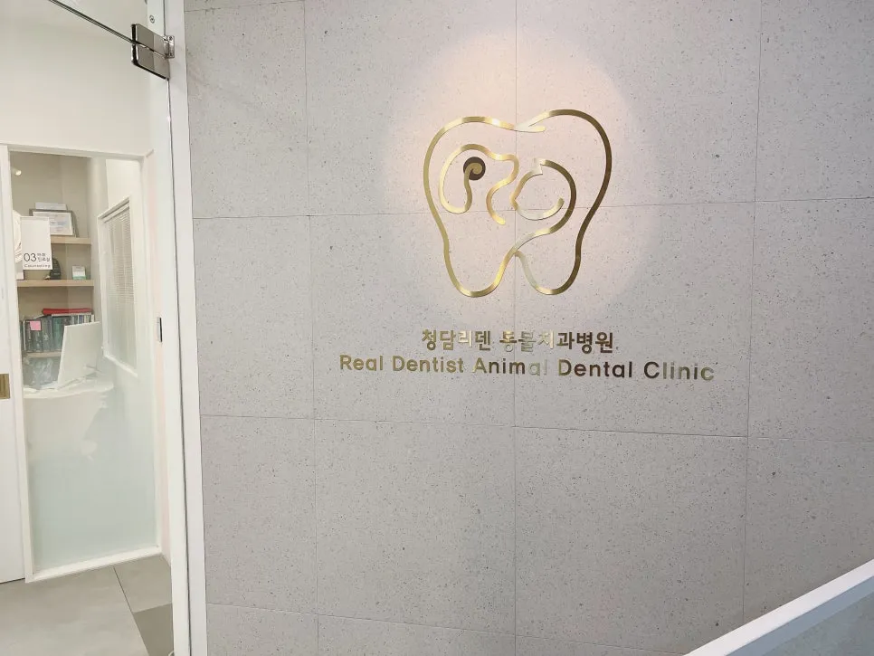 11살 노견 하루, 강아지 치주염 스케일링 및 발치 수술 후기 — 사진 3