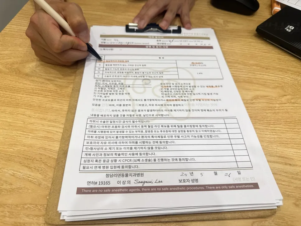 11살 노견 하루, 강아지 치주염 스케일링 및 발치 수술 후기 — 사진 8