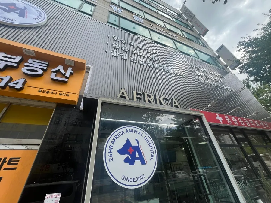 포메라니안 반려견 장례 절차 및 화장 비용 안내