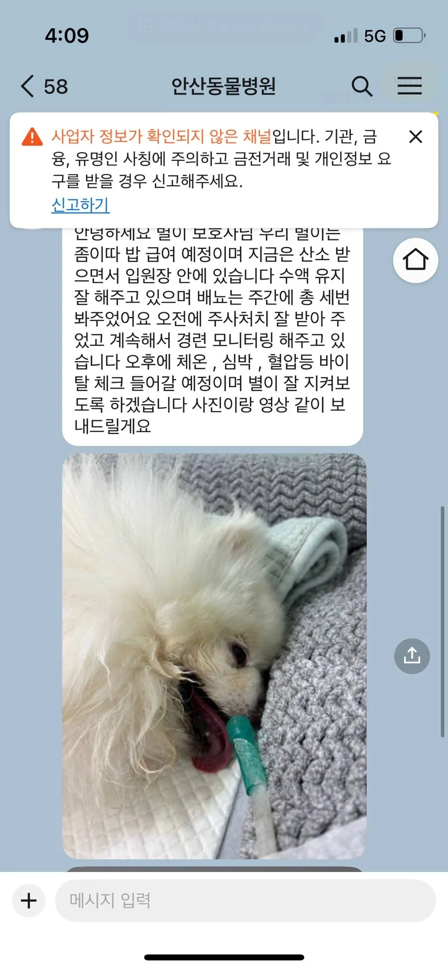 포메라니안 반려견 장례 절차 및 화장 비용 안내 — 사진 2