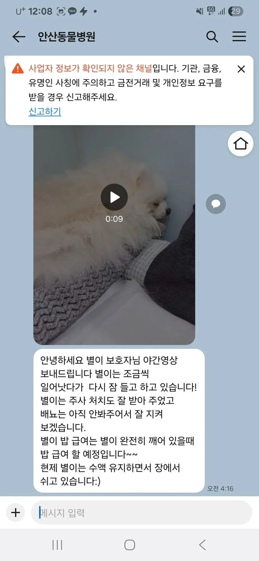포메라니안 반려견 장례 절차 및 화장 비용 안내 — 사진 3