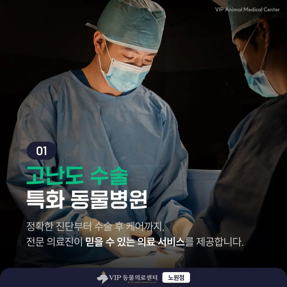 노원 강아지 스케일링: VIP동물의료센터 안전 마취 및 회복 후기 — 사진 2