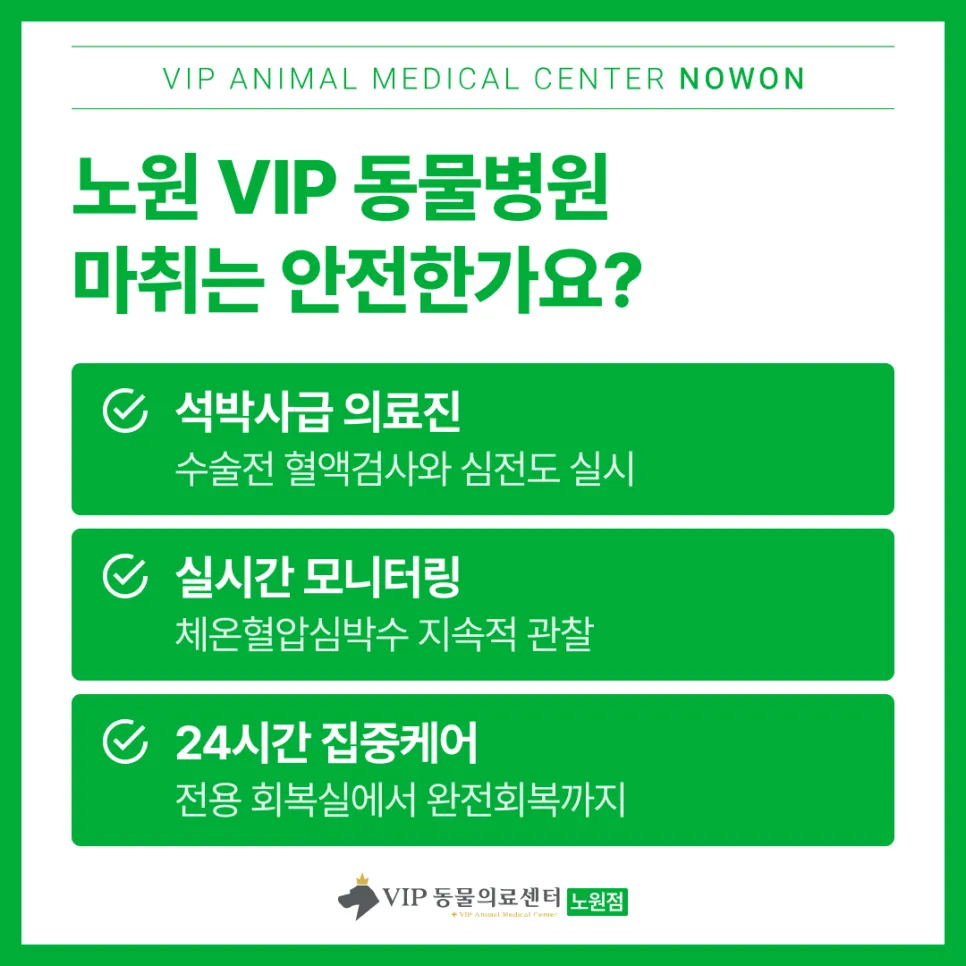노원 강아지 스케일링: VIP동물의료센터 안전 마취 및 회복 후기 — 사진 4