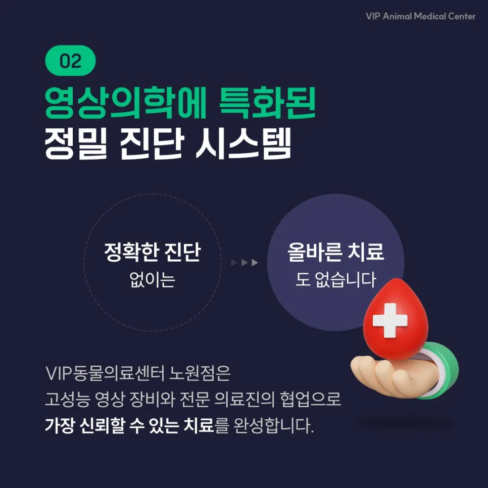 노원 강아지 스케일링: VIP동물의료센터 안전 마취 및 회복 후기 — 사진 5
