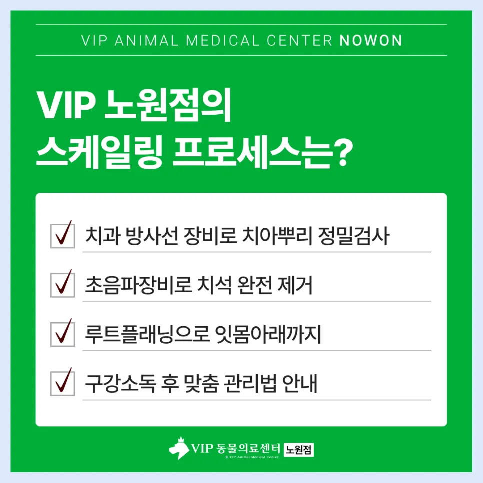 노원 강아지 스케일링: VIP동물의료센터 안전 마취 및 회복 후기 — 사진 6