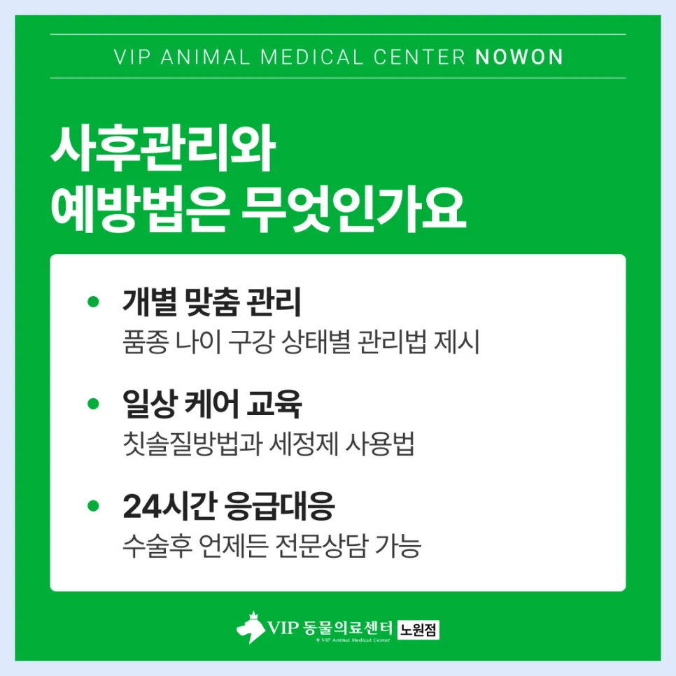 노원 강아지 스케일링: VIP동물의료센터 안전 마취 및 회복 후기 — 사진 7