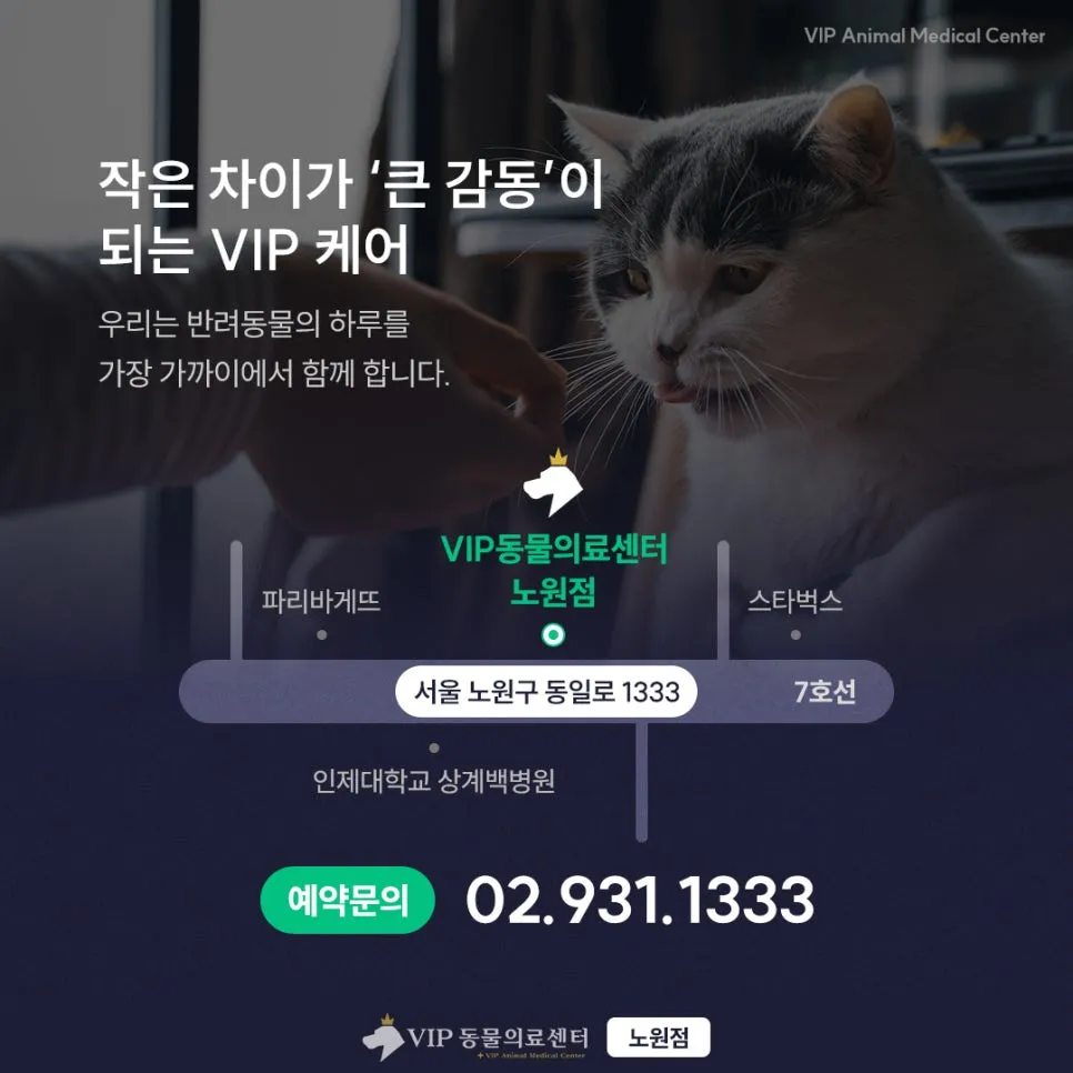 노원 강아지 스케일링: VIP동물의료센터 안전 마취 및 회복 후기 — 사진 9