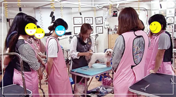 성남 애견미용학원, 실습 중심 교육으로 자격증 재도전 성공 후기 — 사진 8