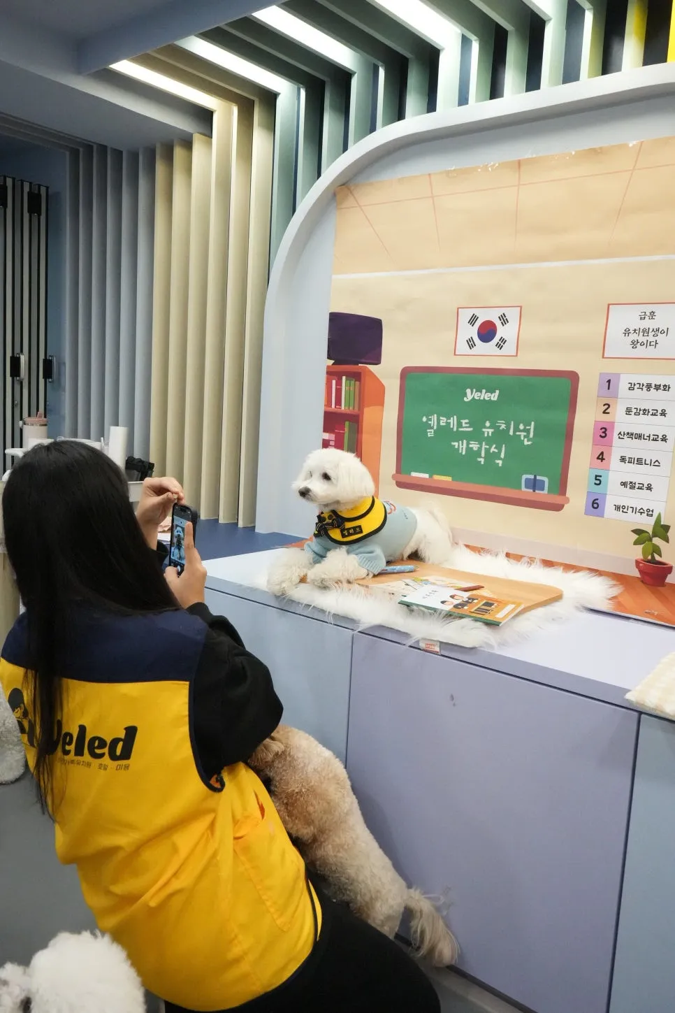 옐레드 애견유치원 창업, 비용 부담 줄이는 현실적 방법 — 사진 8
