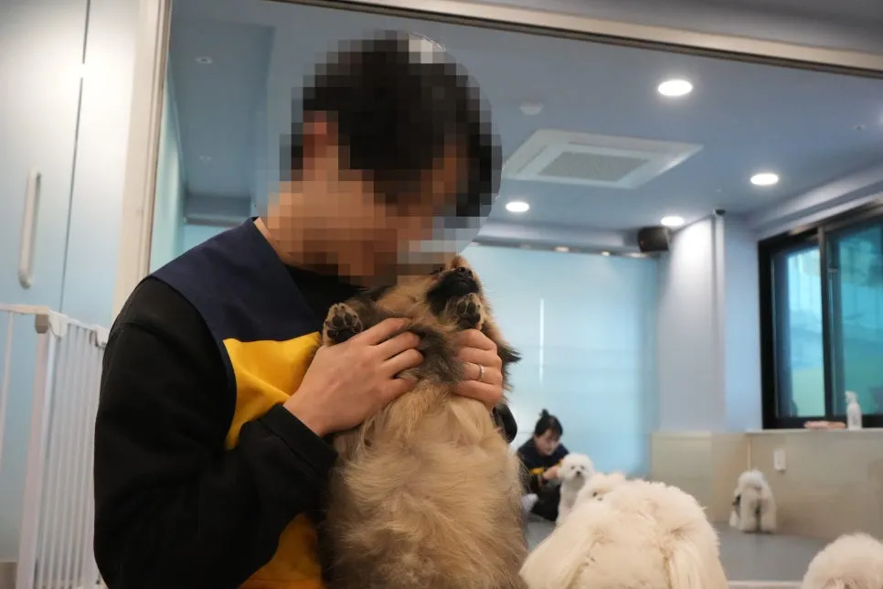 옐레드 애견유치원 창업, 비용 부담 줄이는 현실적 방법 — 사진 10