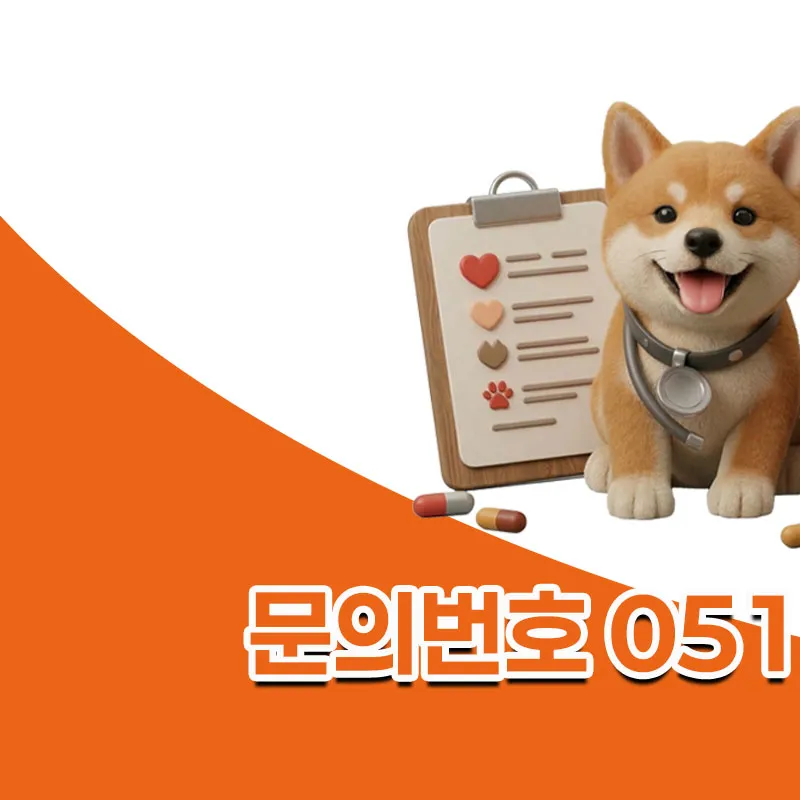 부산 강아지/고양이 중성화 수술, 복강경 방식 후기 및 비용 — 사진 2