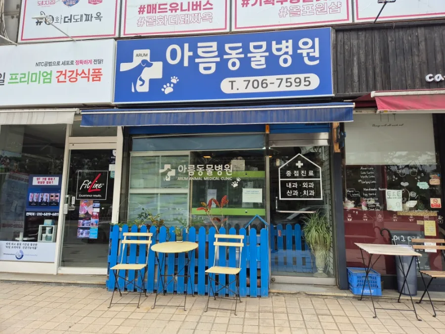 분당 강아지 스케일링·피지낭종 제거 비용 및 후기