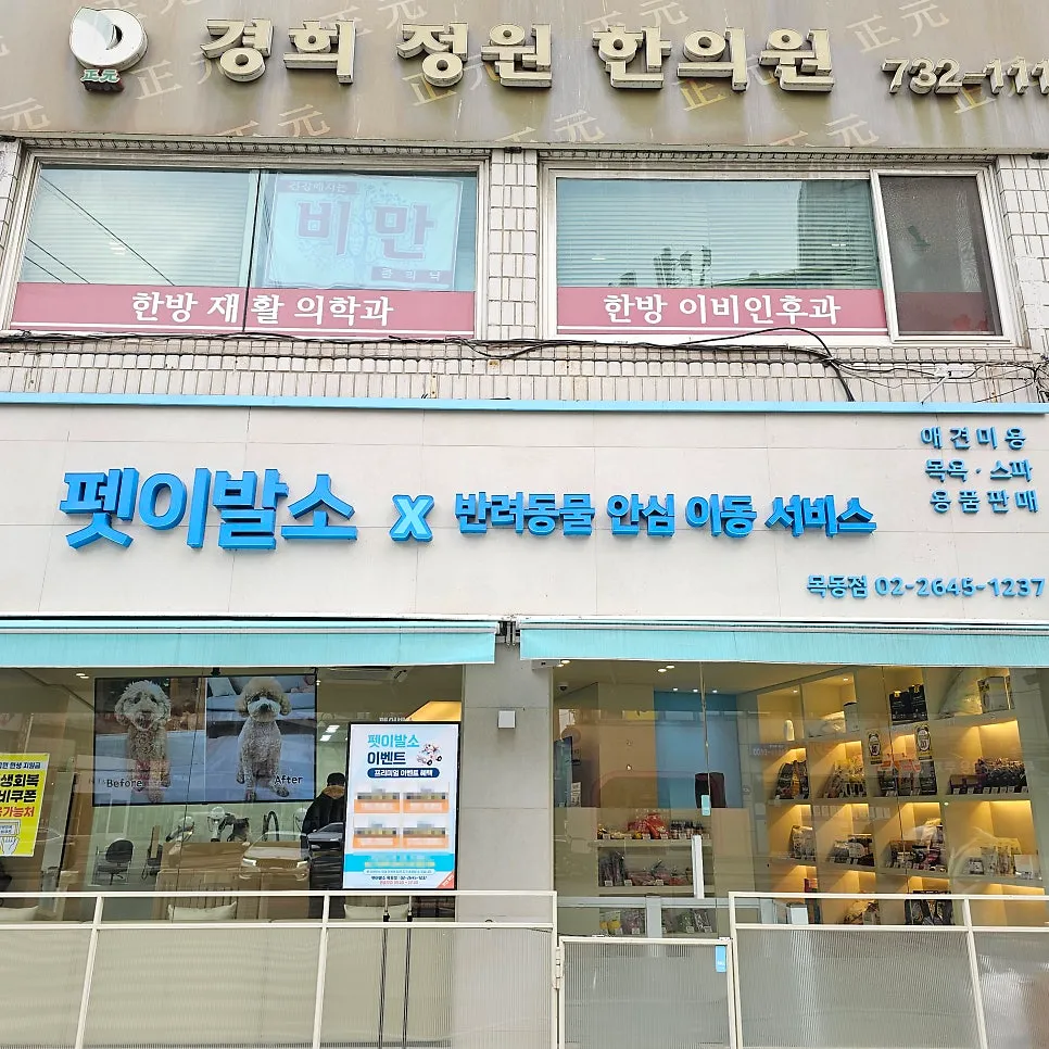 양천구 비숑 6mm 곰돌이컷 미용 후기 및 비용 안내 — 사진 10