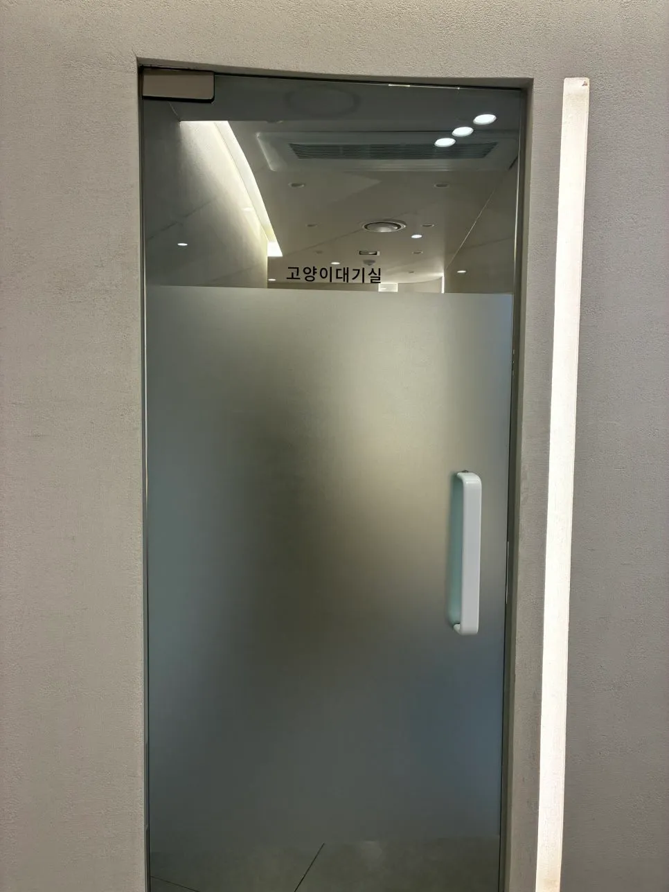 신원당동물병원 고양이 스케일링·발치 비용 및 후기 — 사진 6