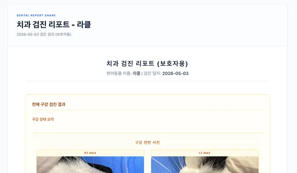 신원당동물병원 고양이 스케일링·발치 비용 및 후기 — 사진 10