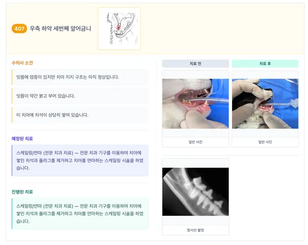 신원당동물병원 고양이 스케일링·발치 비용 및 후기 — 사진 13