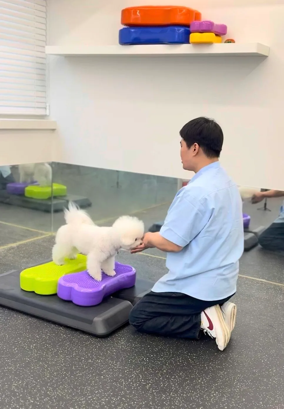 화성 강아지 유치원: 1:1 관리로 안심, 사회성·운동 병행 — 사진 4