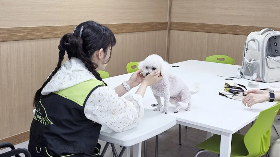 강아지 짖음 행동교정, 아카데미 수강 후기 및 효과 — 사진 4