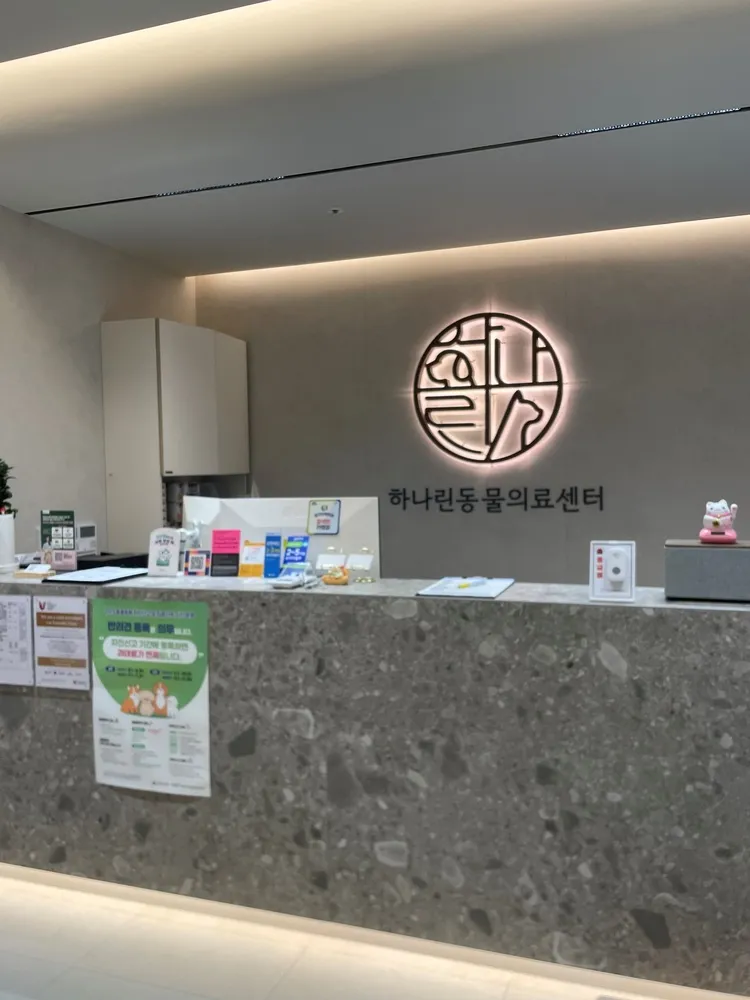 고양이 하부요로계증후군, 오산 24시 고양이 친화병원 진료 후기 — 사진 3