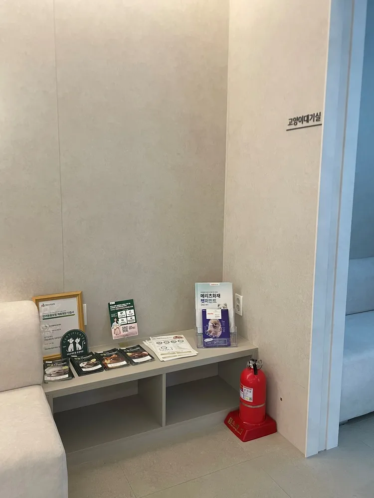고양이 하부요로계증후군, 오산 24시 고양이 친화병원 진료 후기 — 사진 10