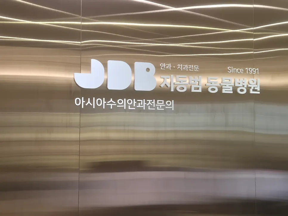 부산 강아지 망막박리 수술, 지동범동물병원 비용과 후기 — 사진 4