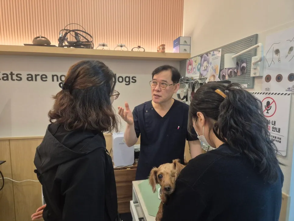 부산 강아지 망막박리 수술, 지동범동물병원 비용과 후기 — 사진 6
