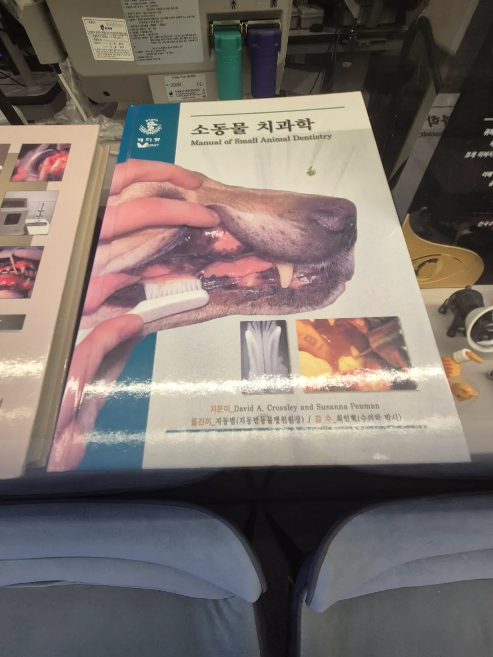 부산 강아지 망막박리 수술, 지동범동물병원 비용과 후기 — 사진 13