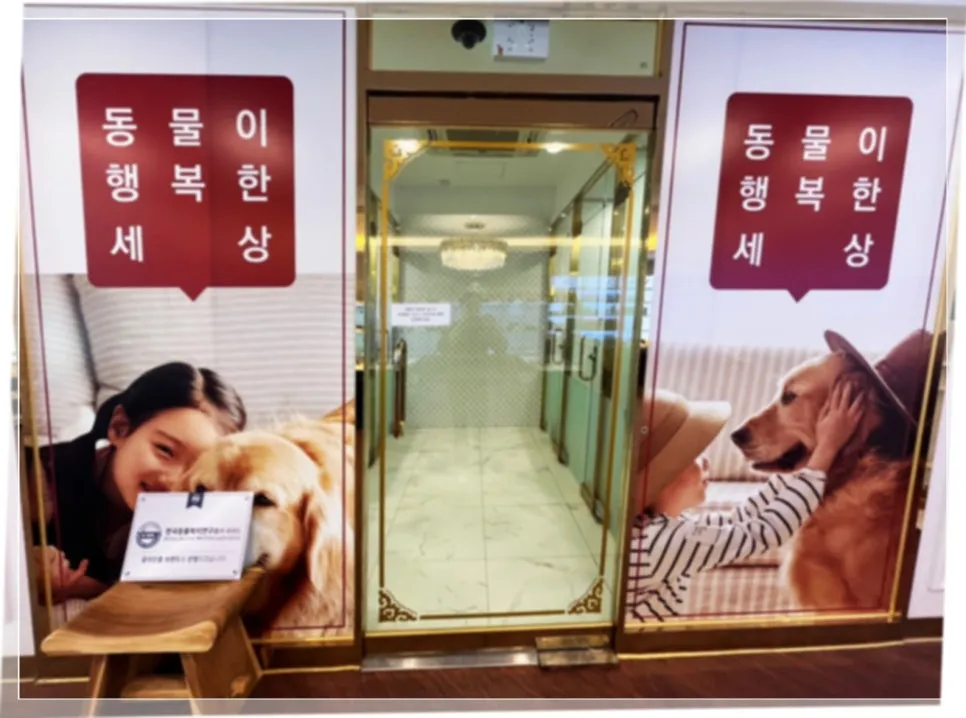 용인 유기견보호소 봉사 후 말티즈 입양 성공기 — 사진 8