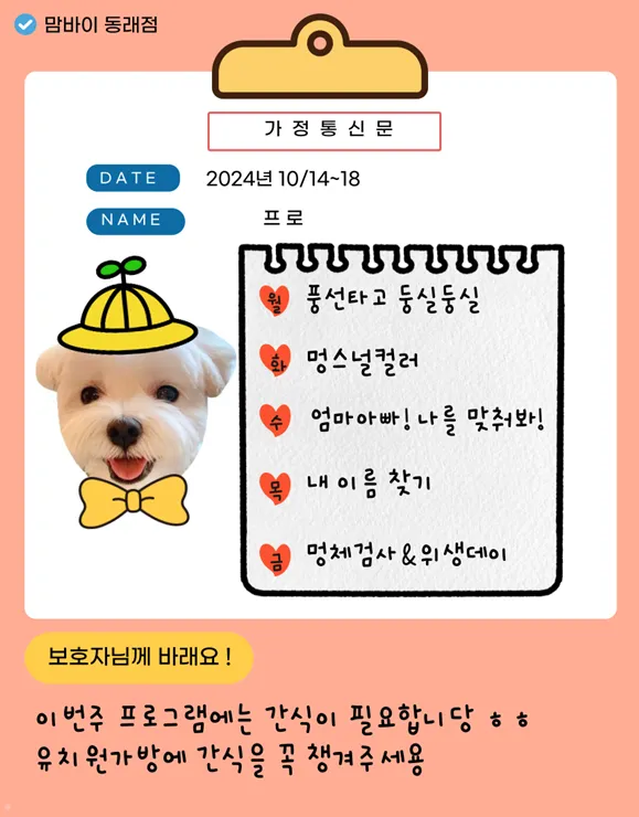 해운대 강아지 유치원: 첫 등원 성공 후기 및 프로그램 — 사진 11