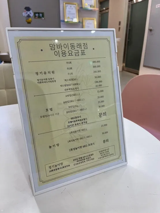해운대 강아지 유치원: 첫 등원 성공 후기 및 프로그램 — 사진 14