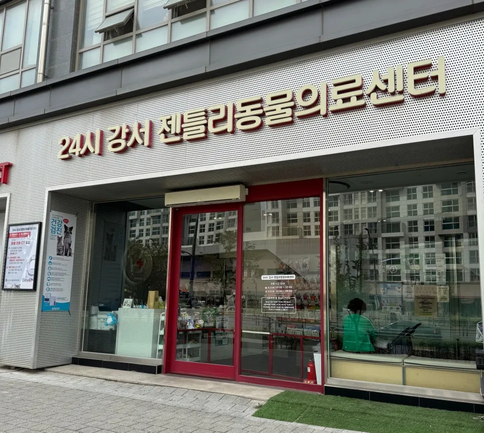 강서 젠틀리동물병원 슬개골 탈구 수술 후기: 노견 에페리의 성공적인 회복 — 사진 2