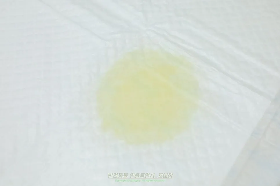 코코뽀숑 배변패드, 하루 한 장으로 냄새·흡수력 잡는 비결 — 사진 8