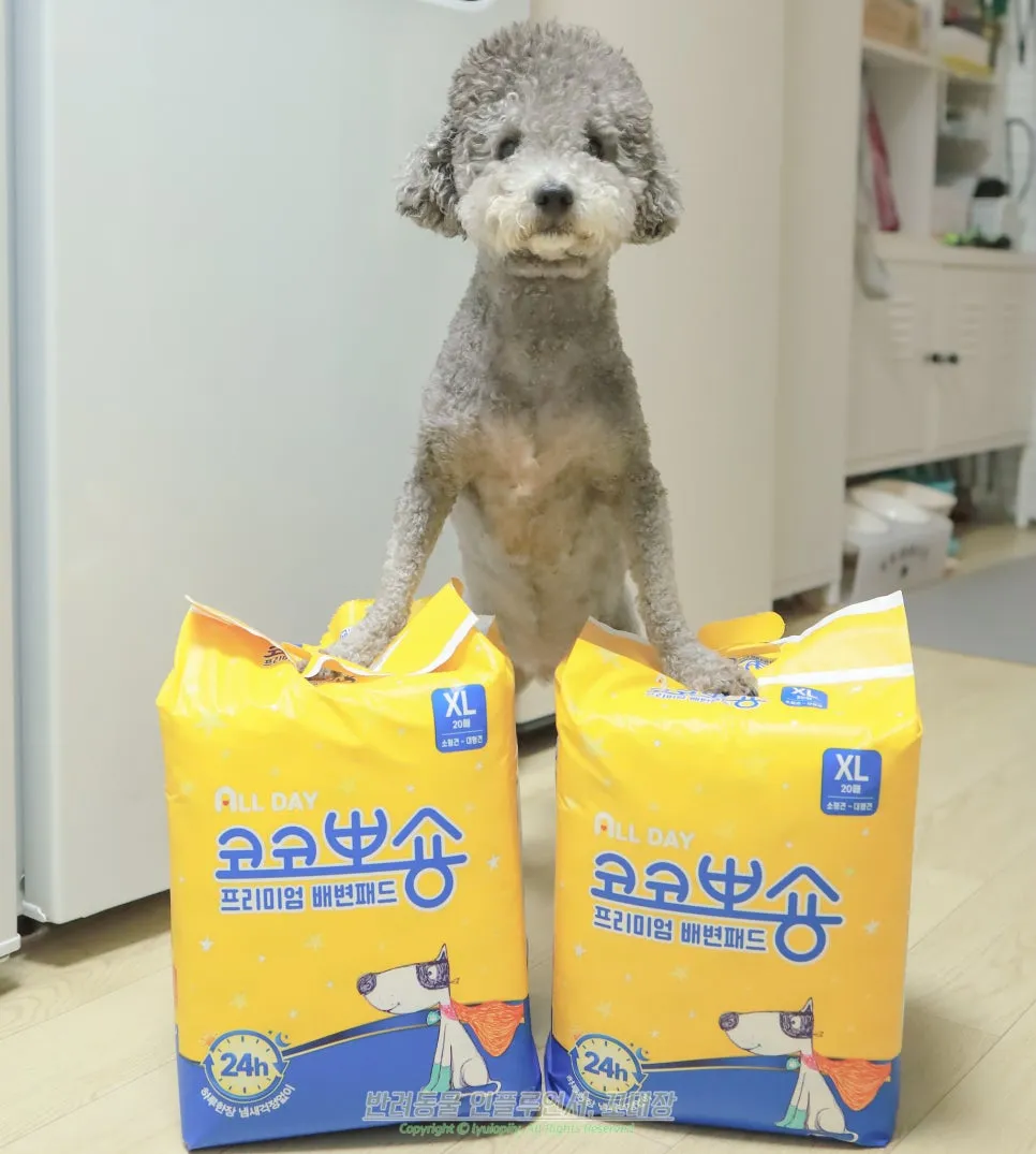 코코뽀숑 배변패드, 하루 한 장으로 냄새·흡수력 잡는 비결 — 사진 13