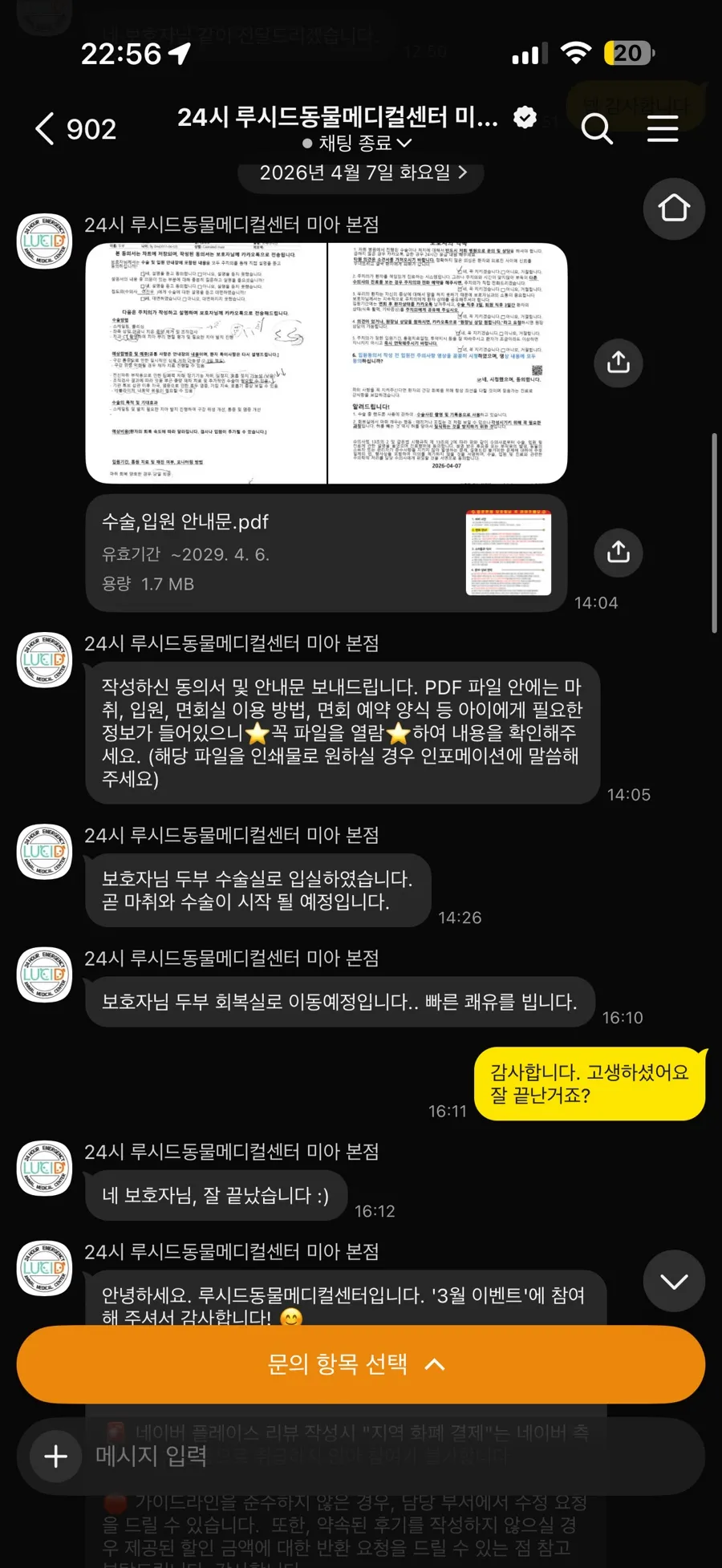 포메라니안 강아지 스케일링, 발치 비용 및 후기 (루시드동물병원) — 사진 2