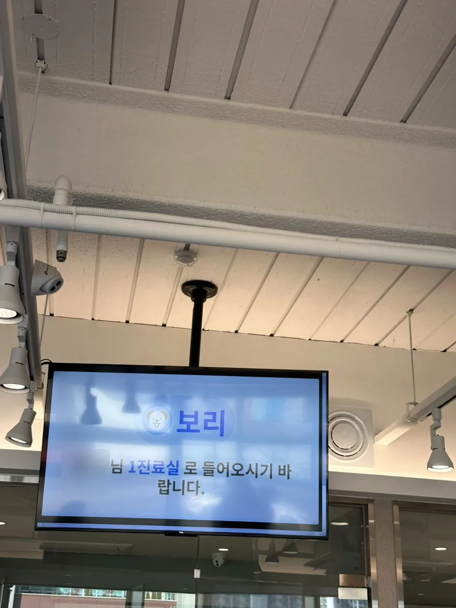 김해 강아지 중성화 수술 시기, 비용 및 후기 안내 — 사진 7