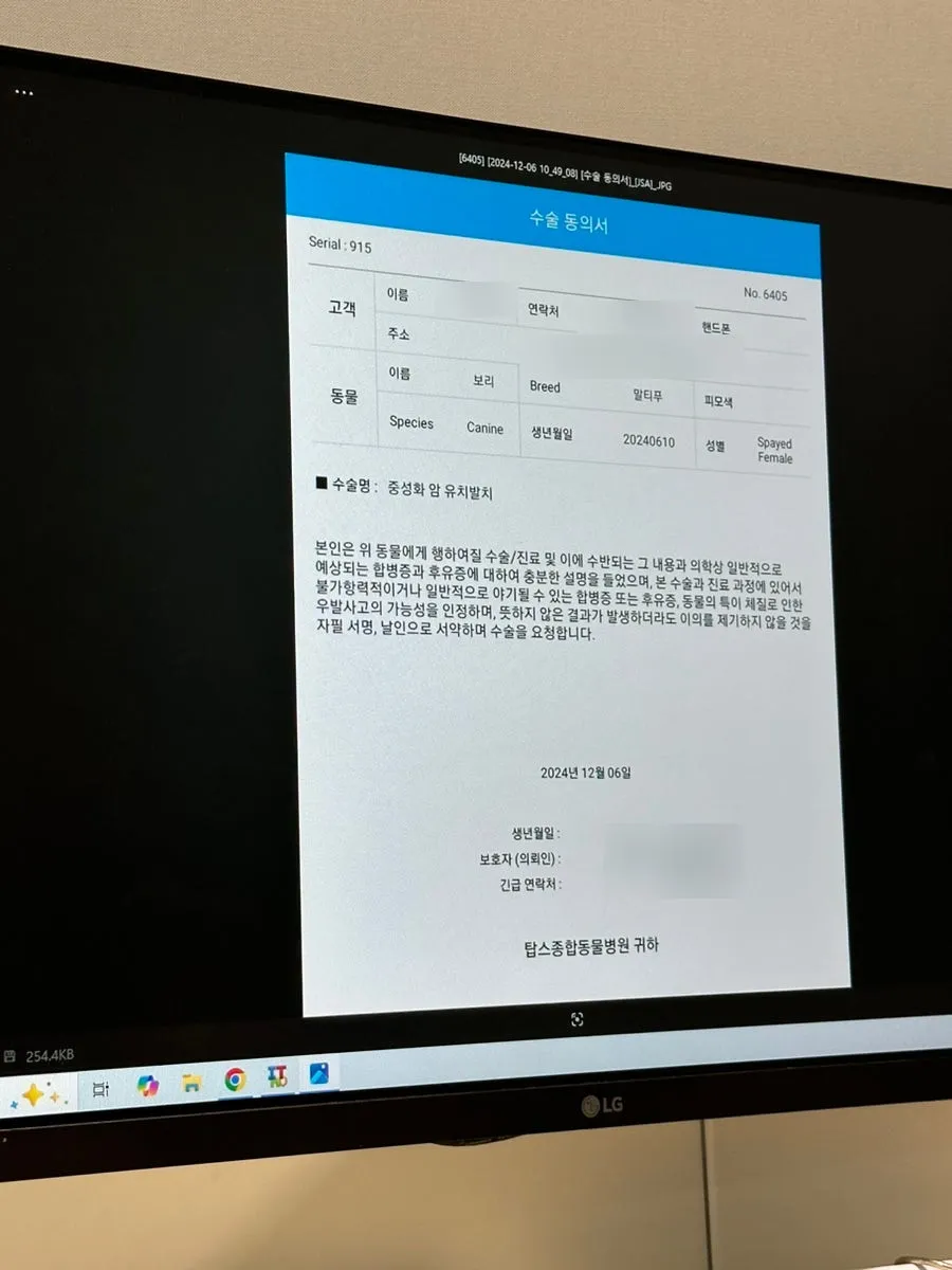 김해 강아지 중성화 수술 시기, 비용 및 후기 안내 — 사진 16