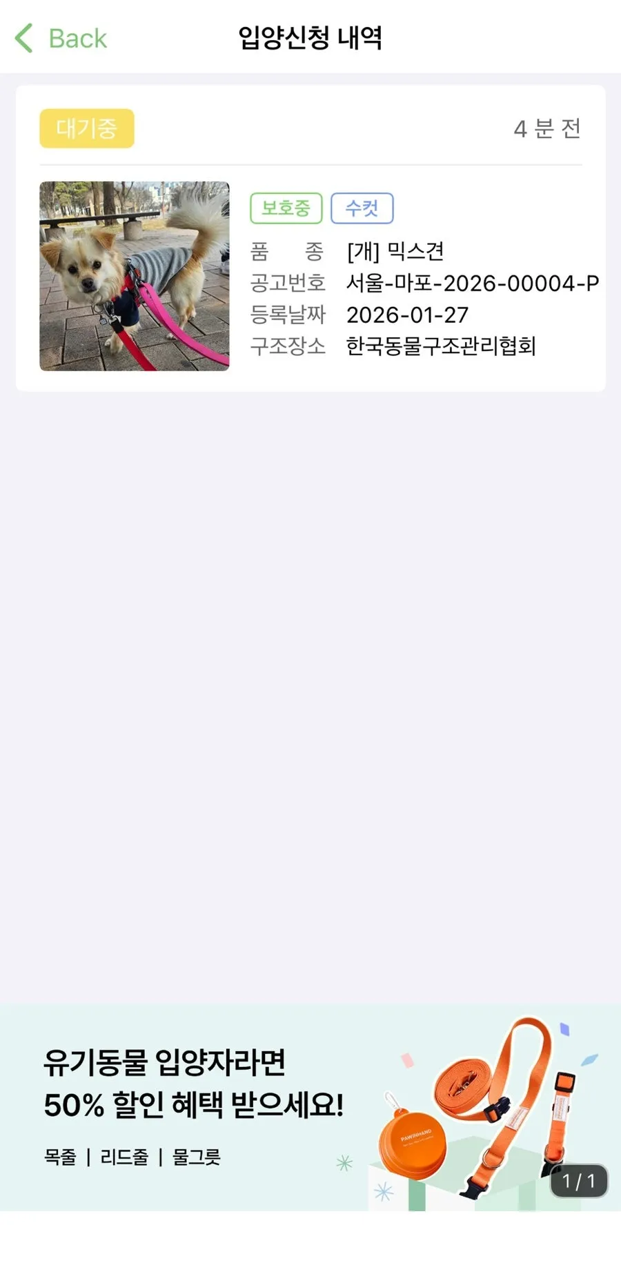 포인핸드 유기견 입양 후기: 믹스견 '뚱이' 입양 과정 총정리 — 사진 2
