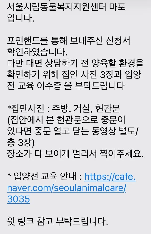 포인핸드 유기견 입양 후기: 믹스견 '뚱이' 입양 과정 총정리 — 사진 3