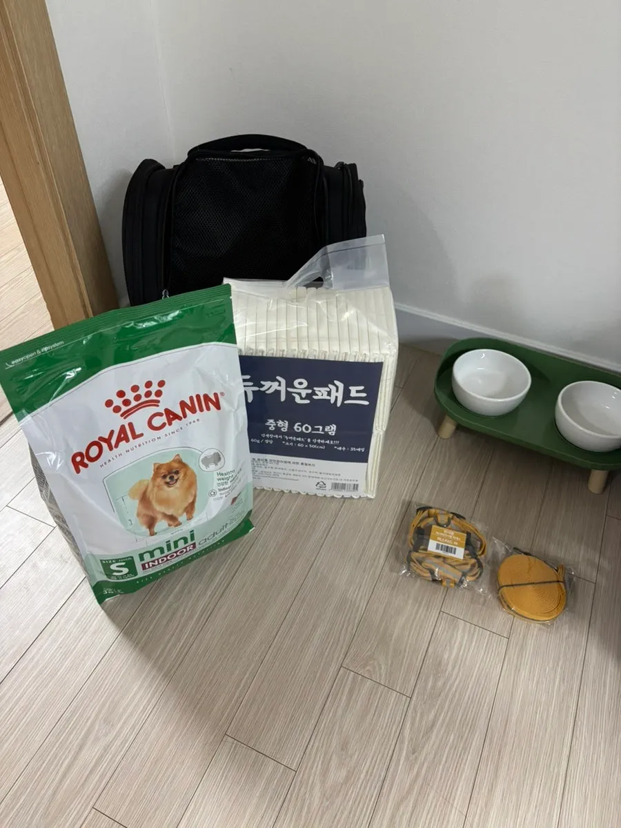 포인핸드 유기견 입양 후기: 믹스견 '뚱이' 입양 과정 총정리 — 사진 8