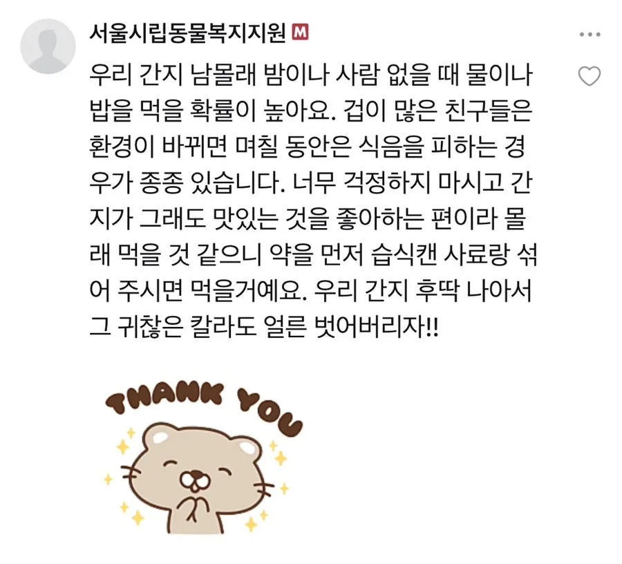 포인핸드 유기견 입양 후기: 믹스견 '뚱이' 입양 과정 총정리 — 사진 16