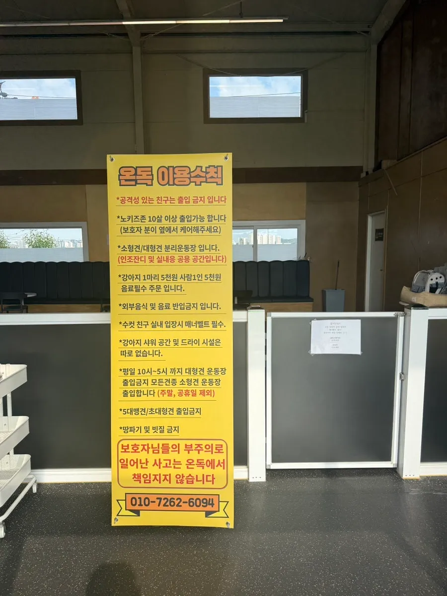 오산 애견호텔 온독, 천연잔디 운동장 호텔링 후기 — 사진 7